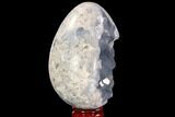 Crystal Filled Celestine (Celestite) Egg Geode - Large Crystals! #88296-2